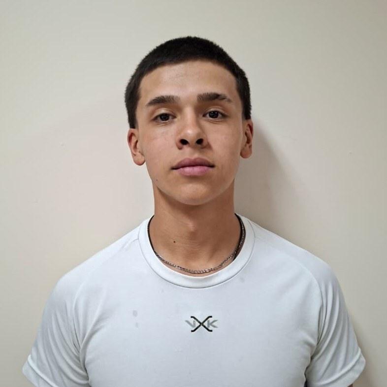 Mariano León Balmaceda Olivares